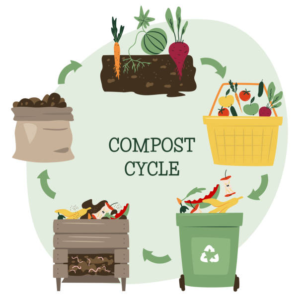 Compost life circle infographic. Composting process. Recycling organic waste from collecting kitchen scraps to use compost for farming. Zero waste concept. Hand drawn vector illustration.